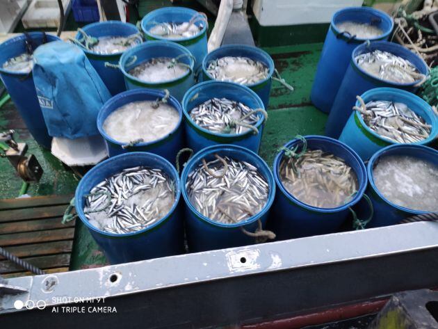 Capturas de boquerones en un barco de Punta Umbría