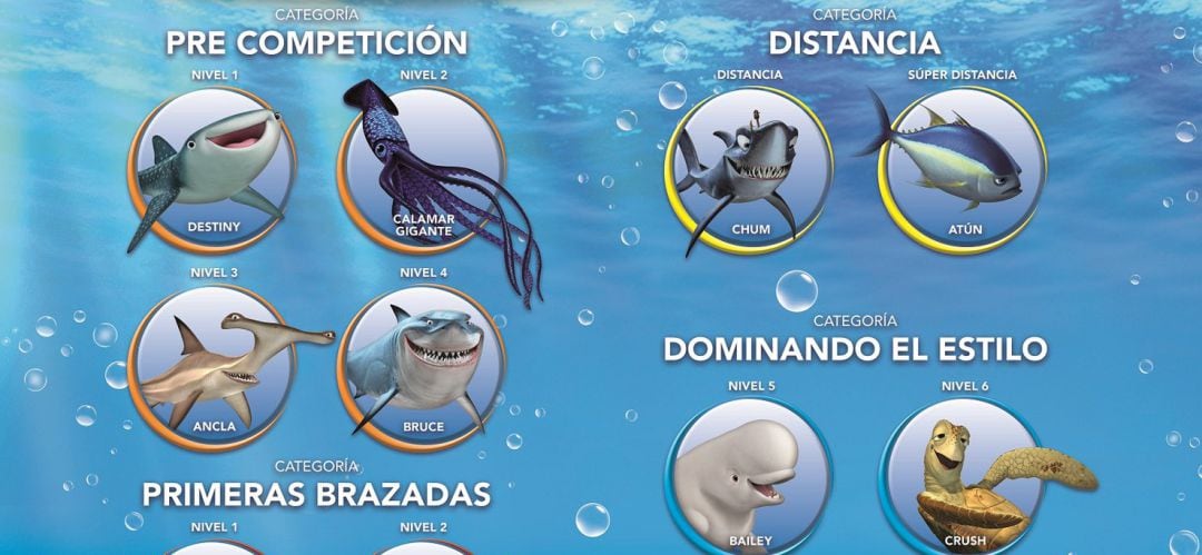 Cartel de las diferentes categorías de &#039;Nadar es vida&#039;