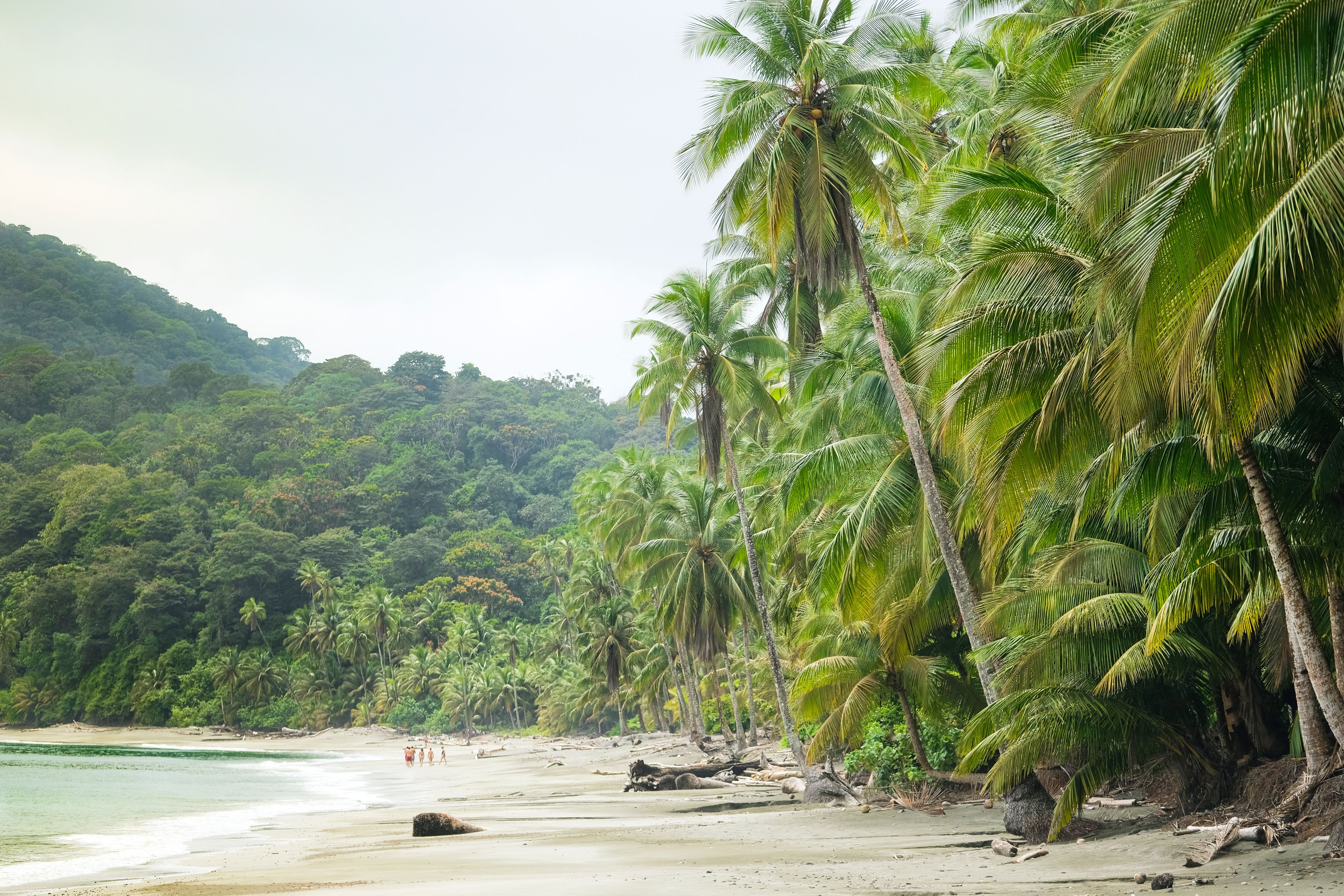 Playa Palmeras, en la Isla Gorgona, situada en el Pacífico a 28 kilómetros de la costa.