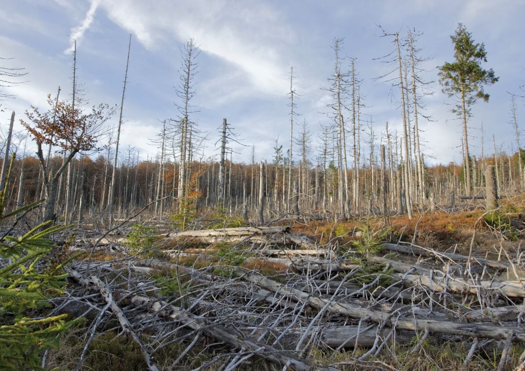 España no es ajena a esta situación de amenaza a la que se enfrenta la naturaleza.