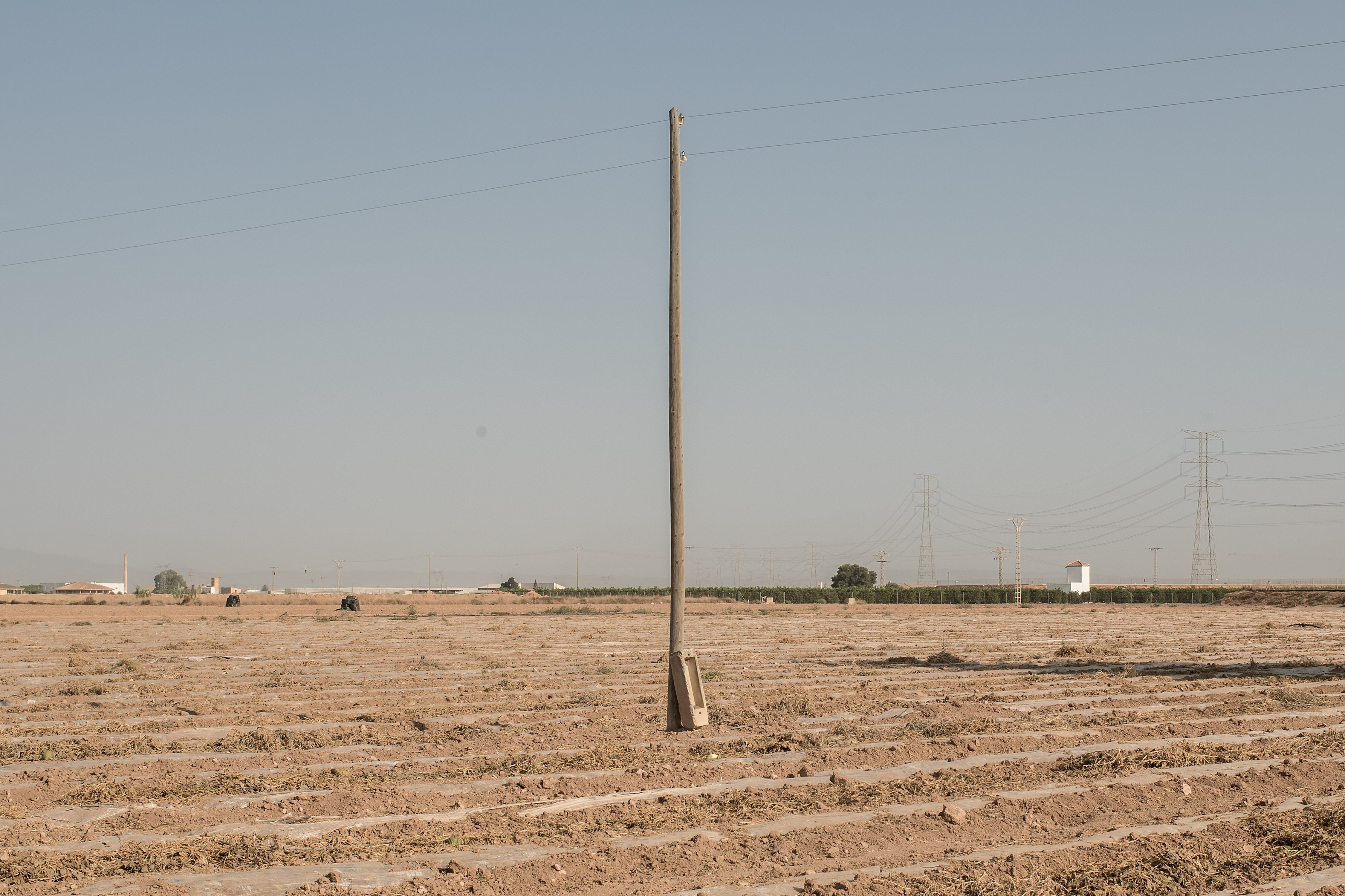 Campo de Cartagena (Imagen de archivo)