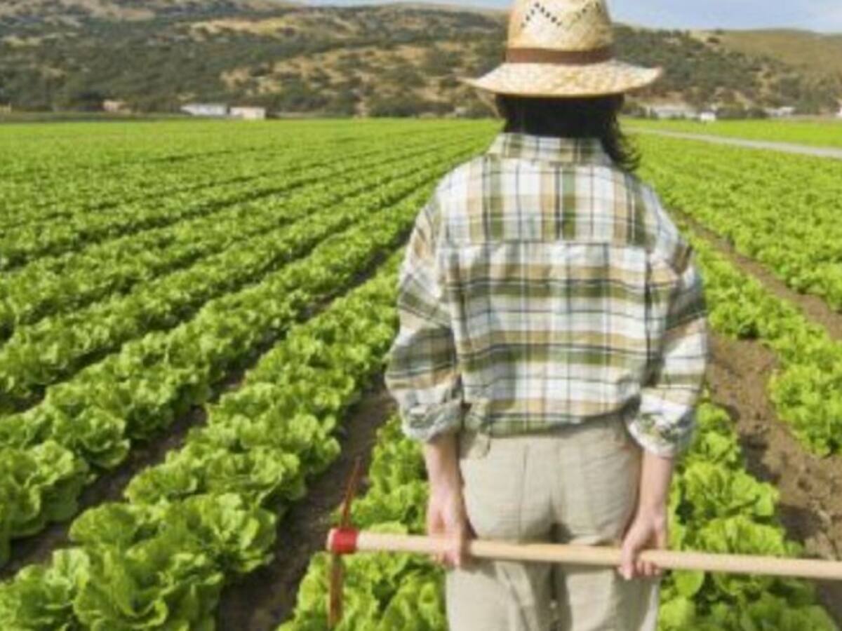 UPA y ASAJA, muy preocupadas por el posible recorte de fondos agrícolas y estructurales de la Unión Europea