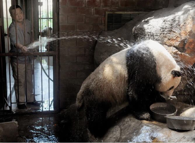 Contra el calor, un buen baño de agua fría