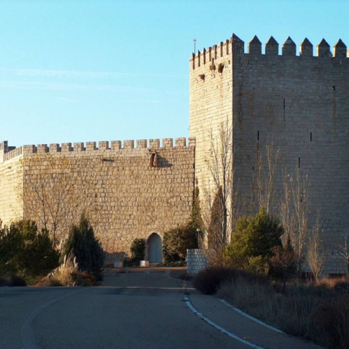 Proponen que el Castillo de Monzón se transforme en un centro de interpretación del medievo