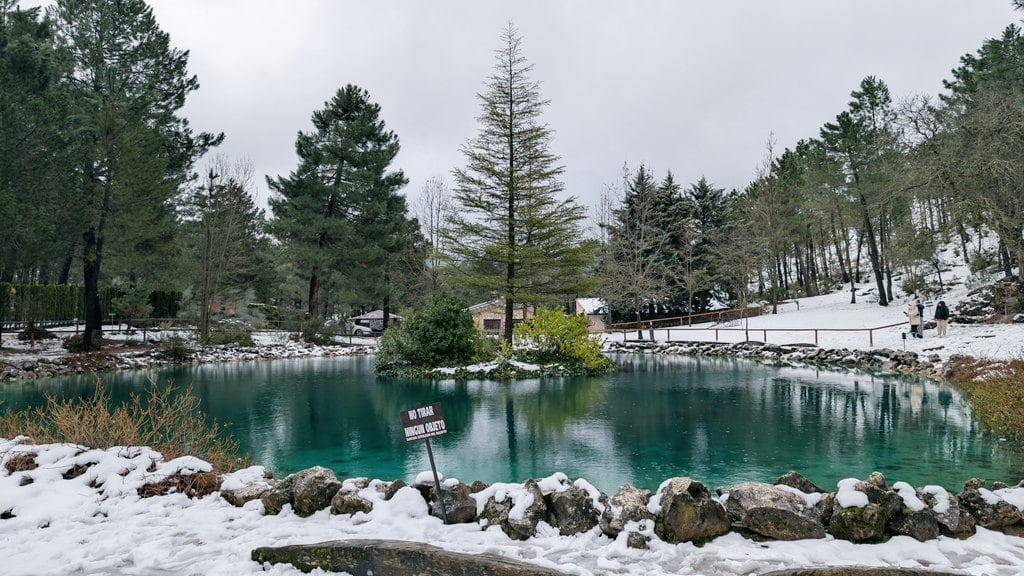 El Lagunazo (Riópar) a las 13h del domingo 25/01/2026. Importante deshielo que se acrecentó con el transcurso de la tarde. @meteohellin