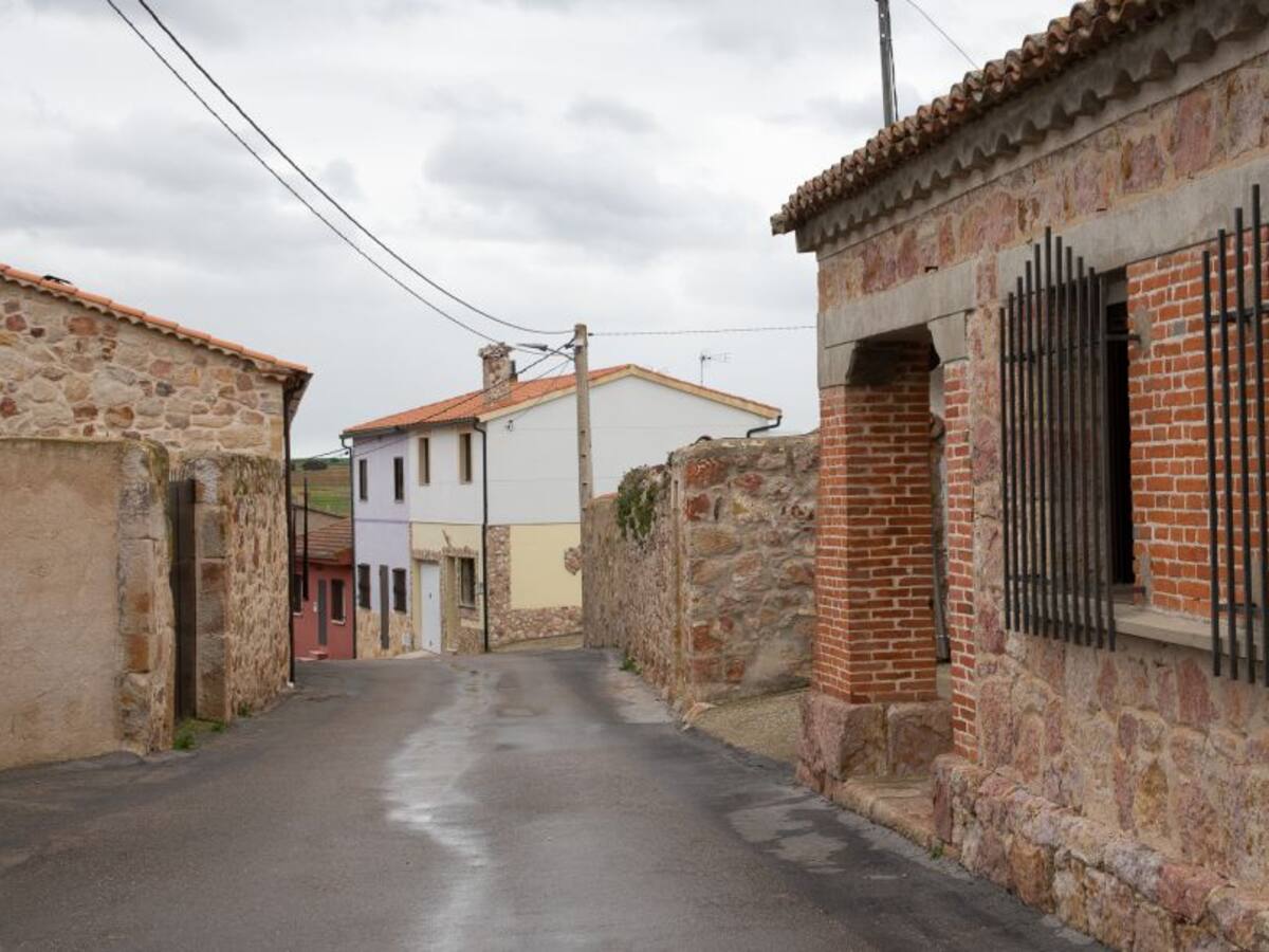 El Procurador de Común pide que se refuerce la sanidad rural