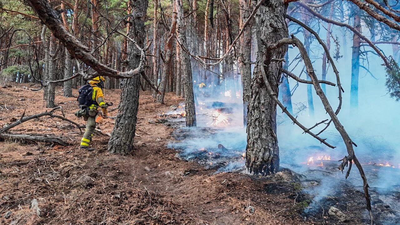 Bomberos de la Comunidad de Madrid trabajando en la extinción del incendio de Miraflores de la Sierra