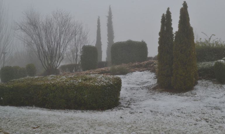 Arbustos del Parque Norte nevados