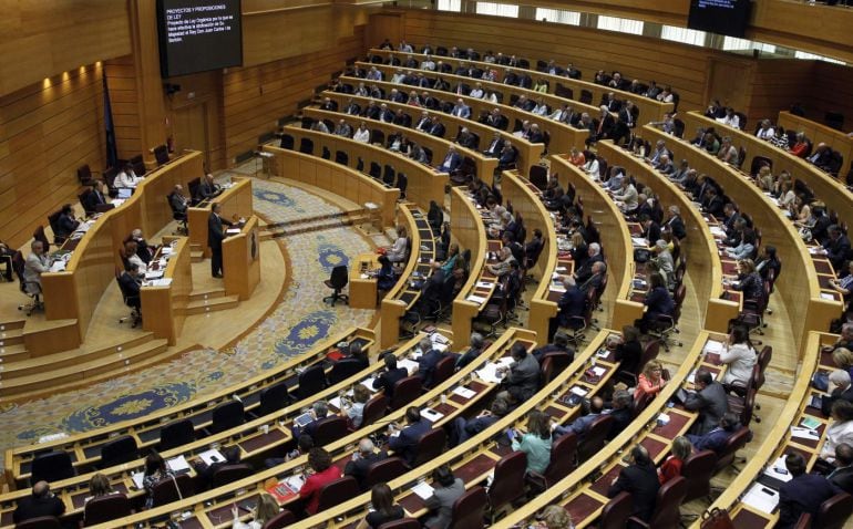 Imagen de un pleno del Senado. 