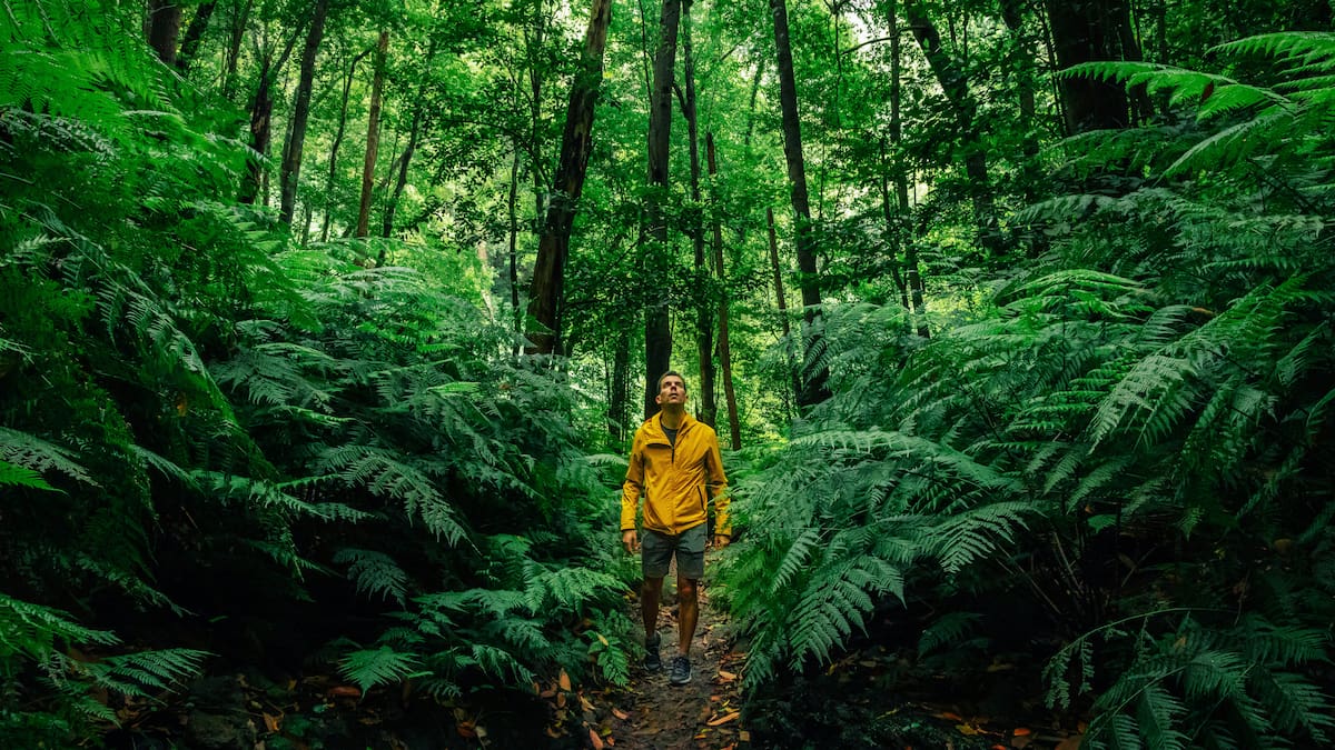 La Palma aterriza en FITUR 2026 con el mayor catálogo de ecoturismo de España