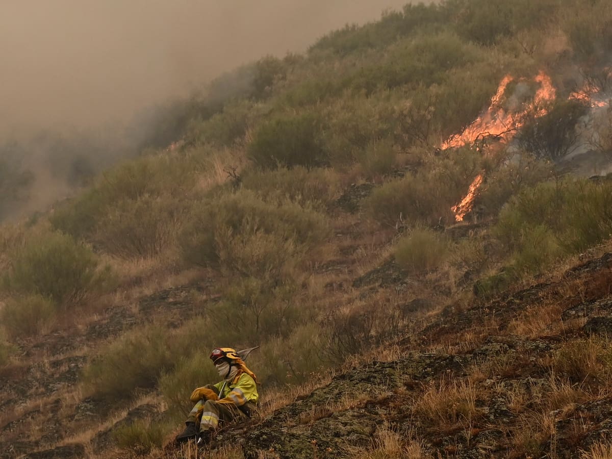 Perfil de un pirómano: Mayoritariamente varón, con baja autoestima y trastorno de control de los impulsos