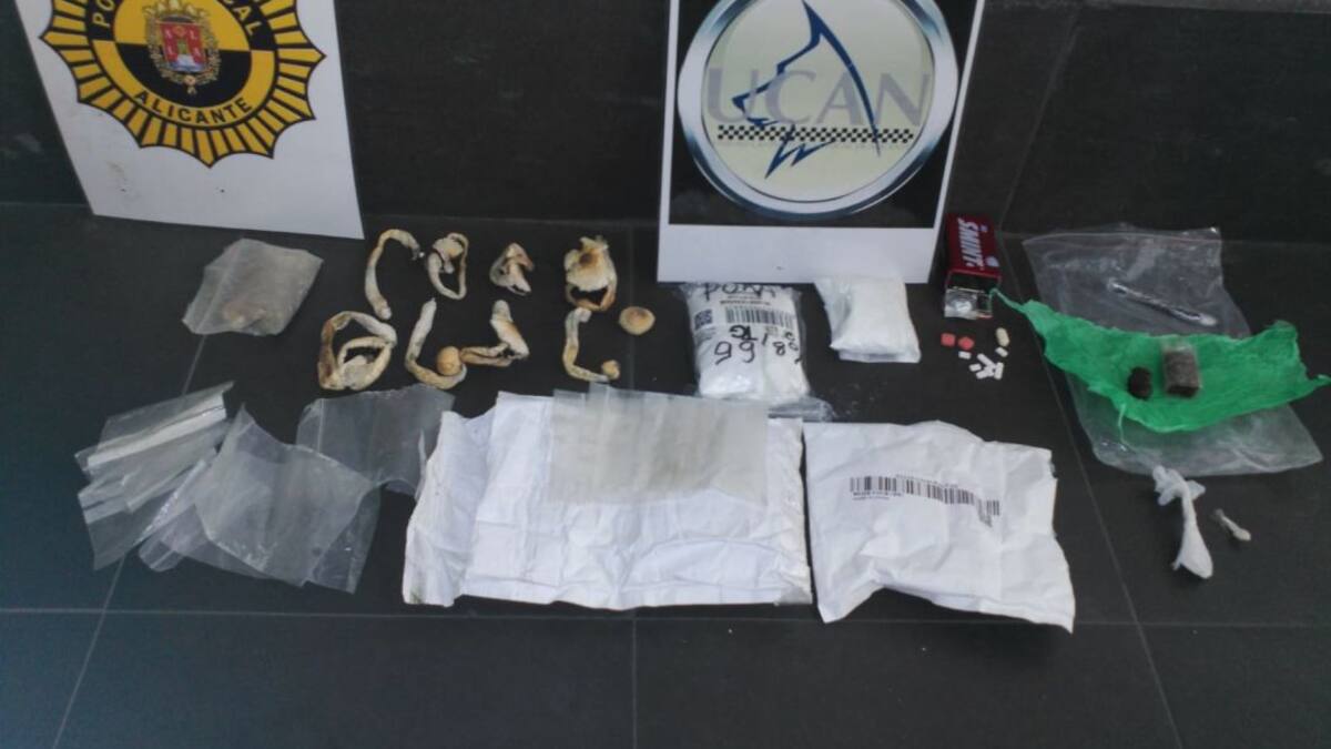 Detenido un hombre en la Estación de Autobuses de Alicante que viajaba con setas alucinógenas, hachís y cocaína