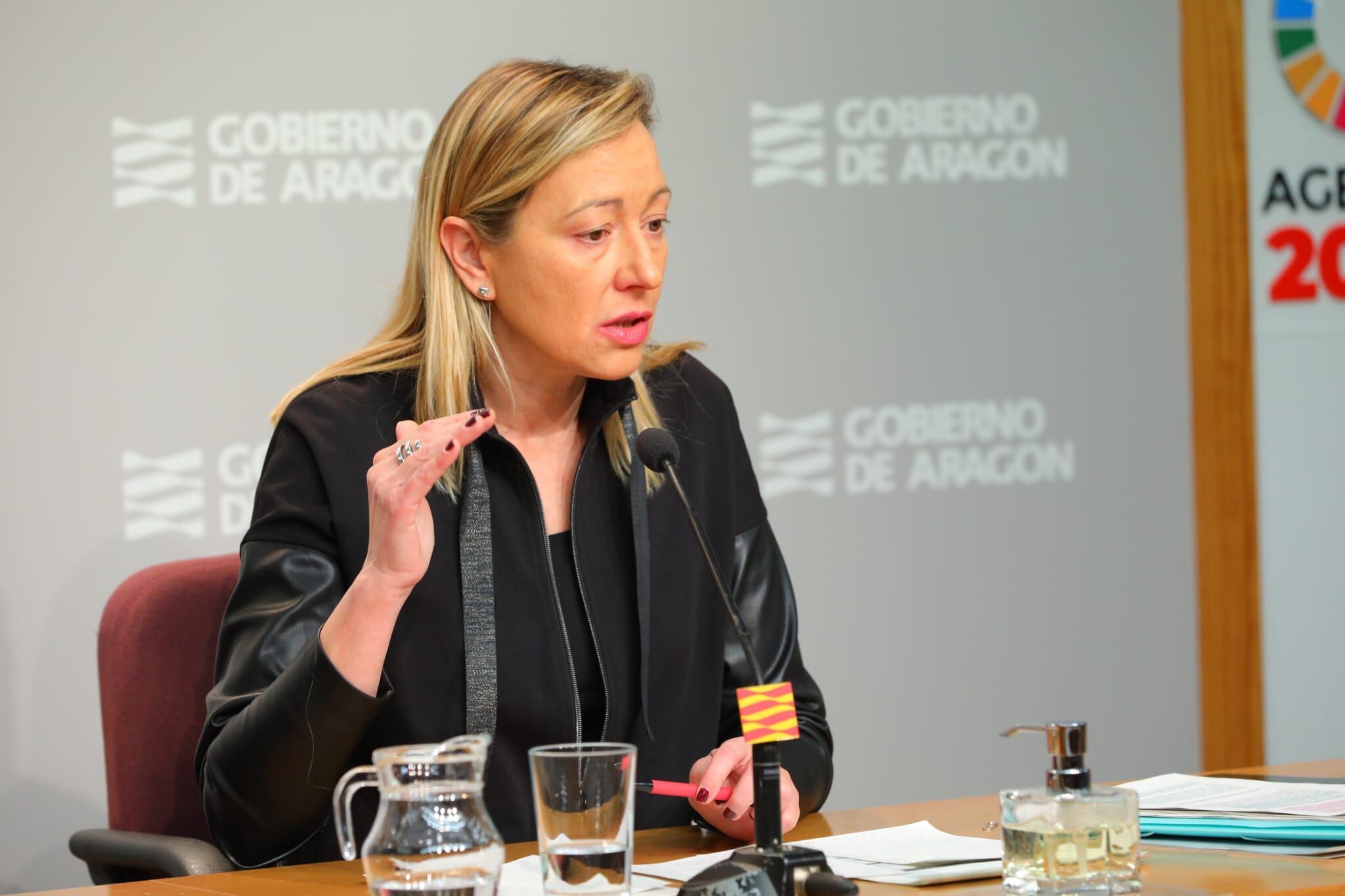 Marta Gastón tras la reunión del Consejo de Gobierno