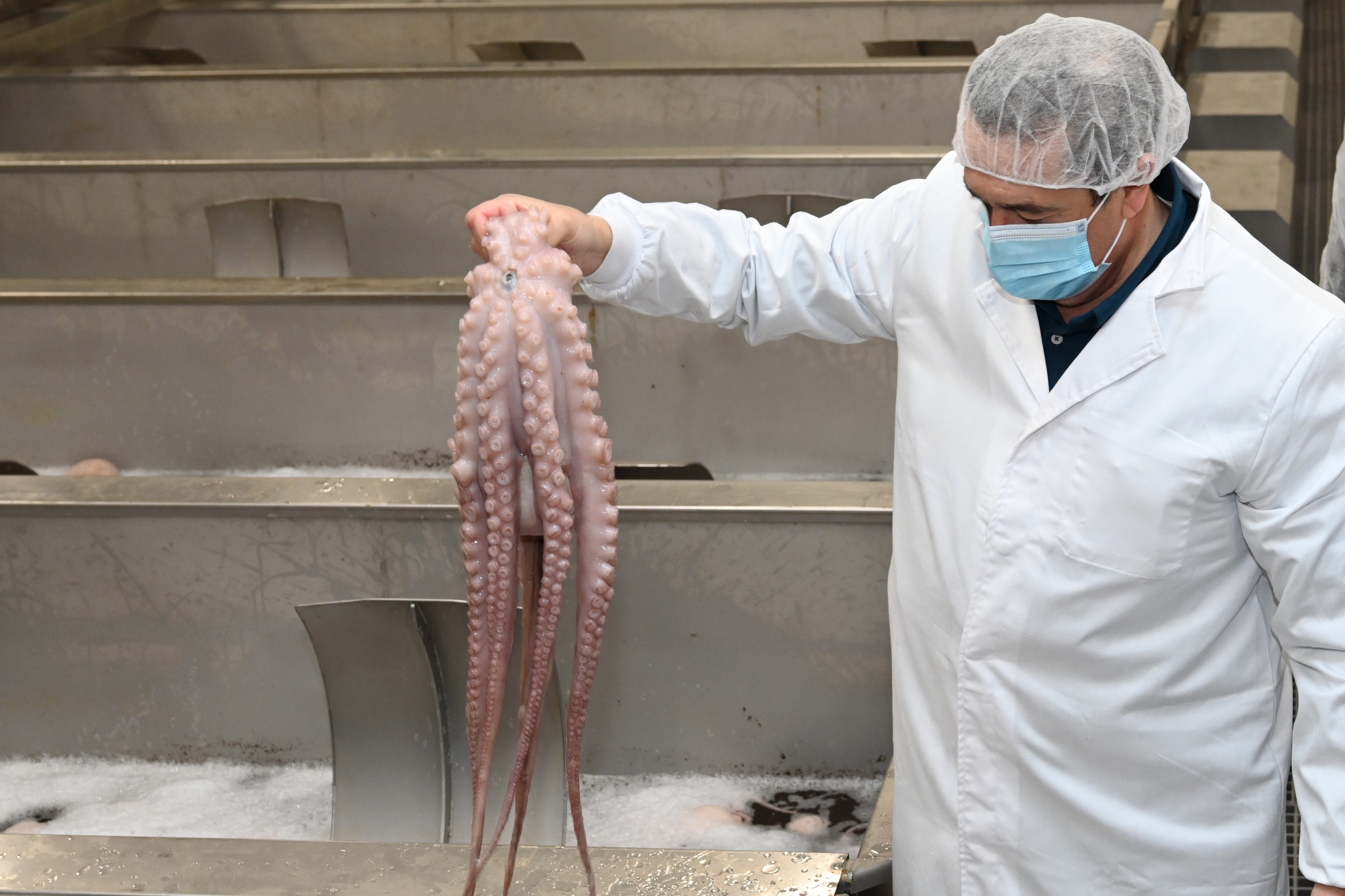 Conrado Merino muestra un pulpo. Almudena Álvarez/EFE
