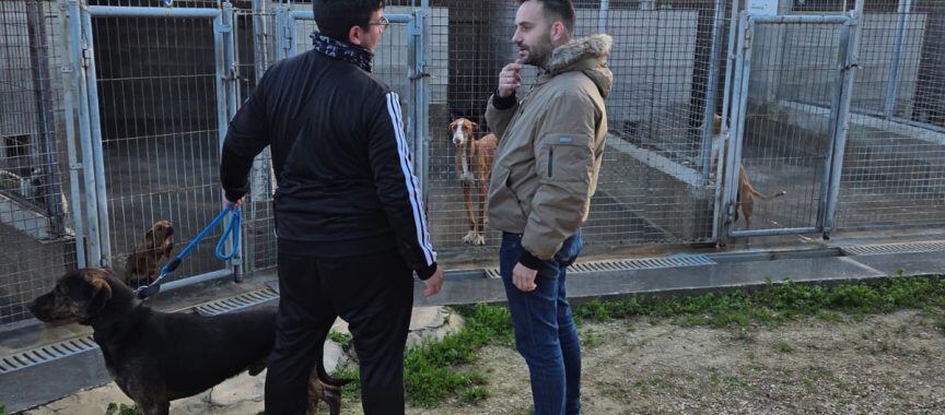 Visita al albergue canino municipal de Caudete