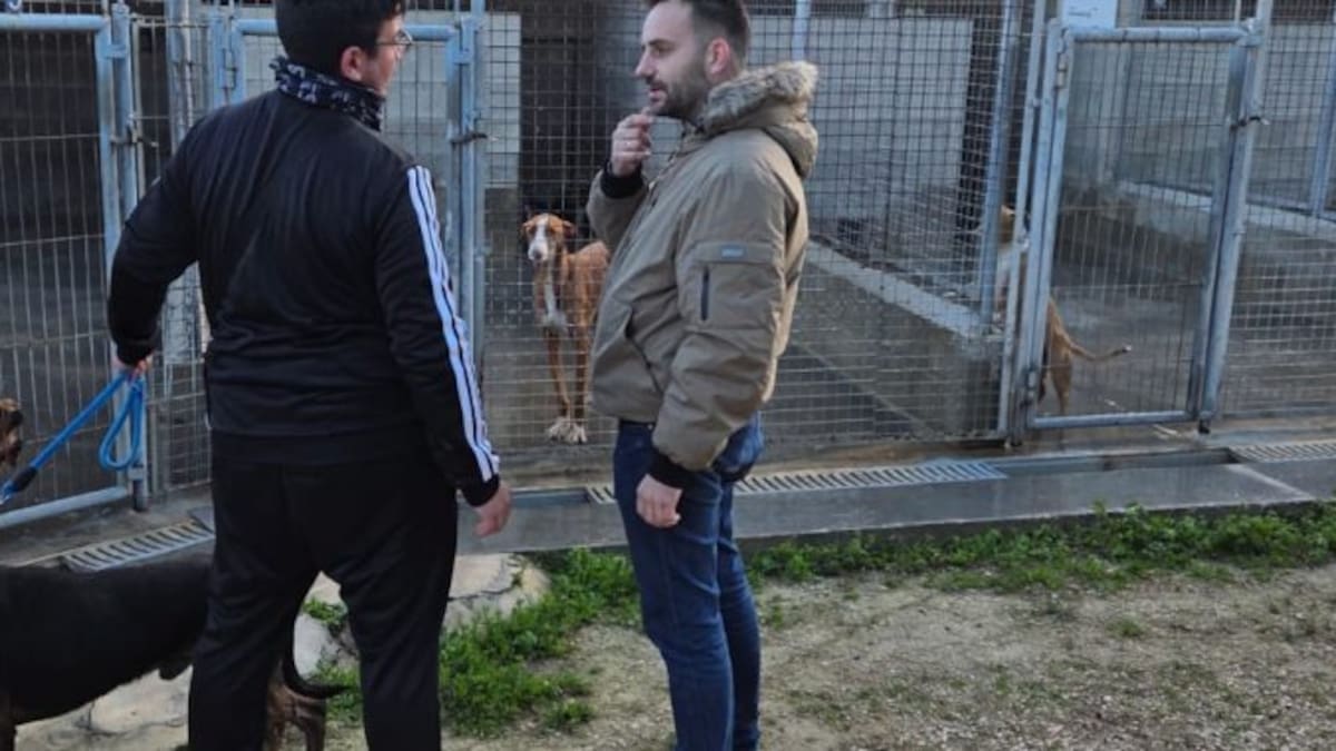 50 perros del albergue canino municipal de Caudete, adoptados en 2025