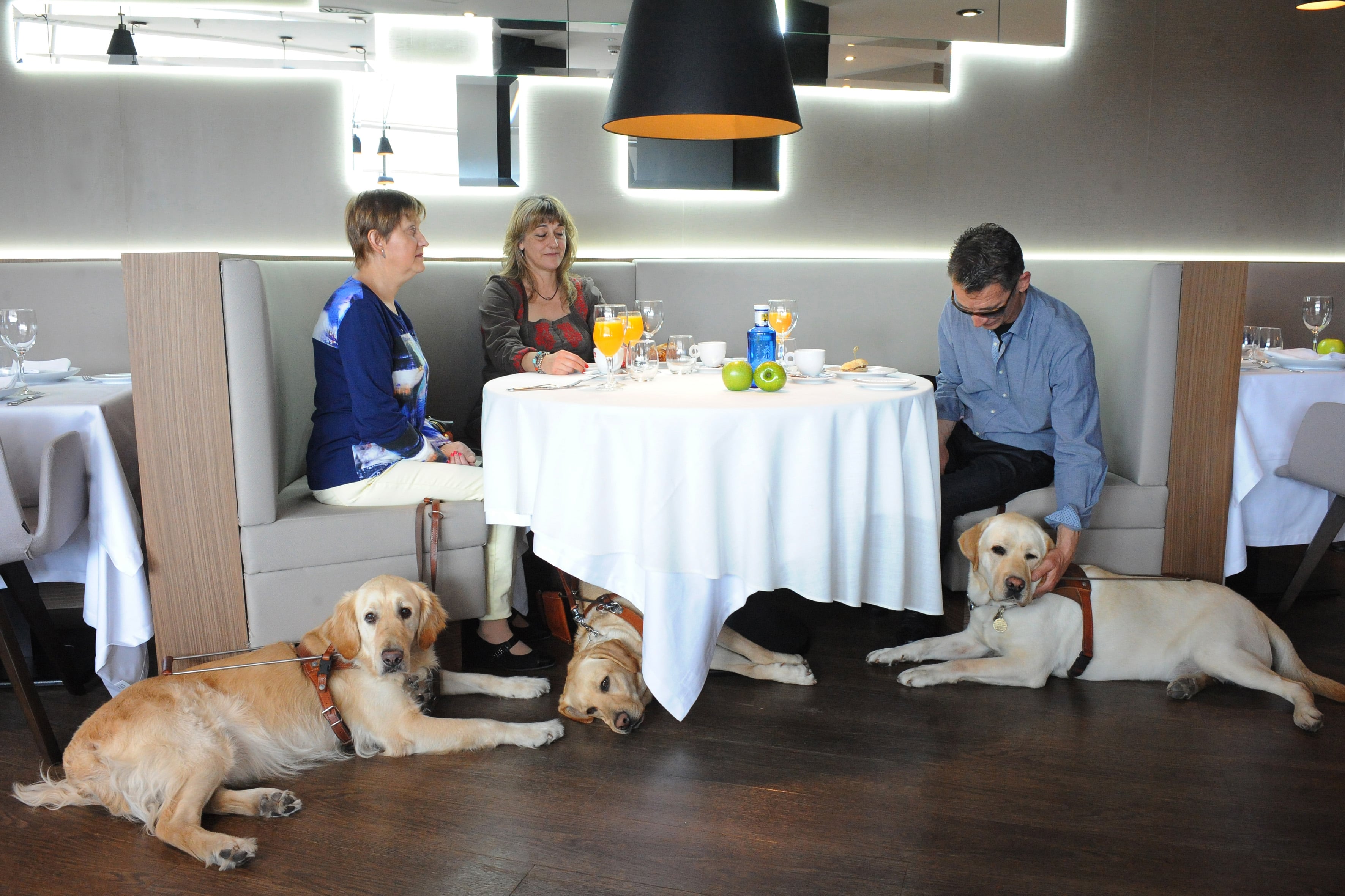 Usuarios de perros guia en un Centro Comercial s/Lola Alejandre