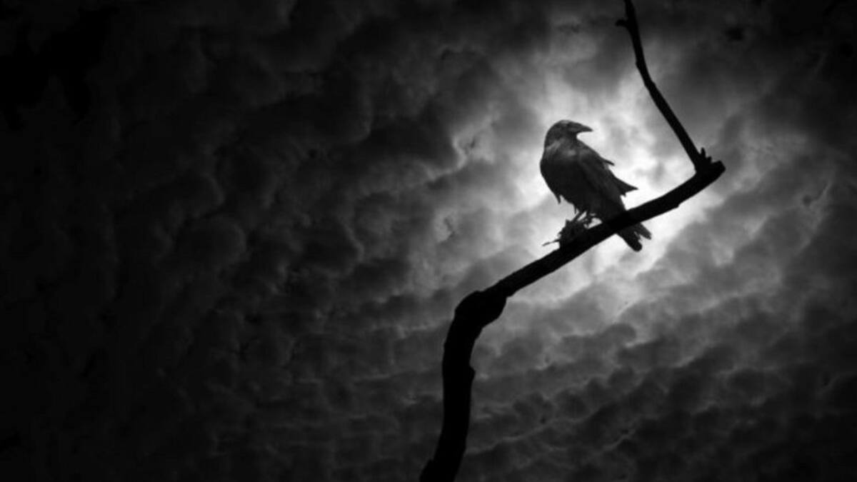 El Festival de Novela Criminal de Cuenca ya tiene el programa entre el 8 y el 11 de mayo