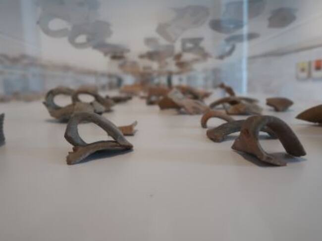 Una imagen de la muestra