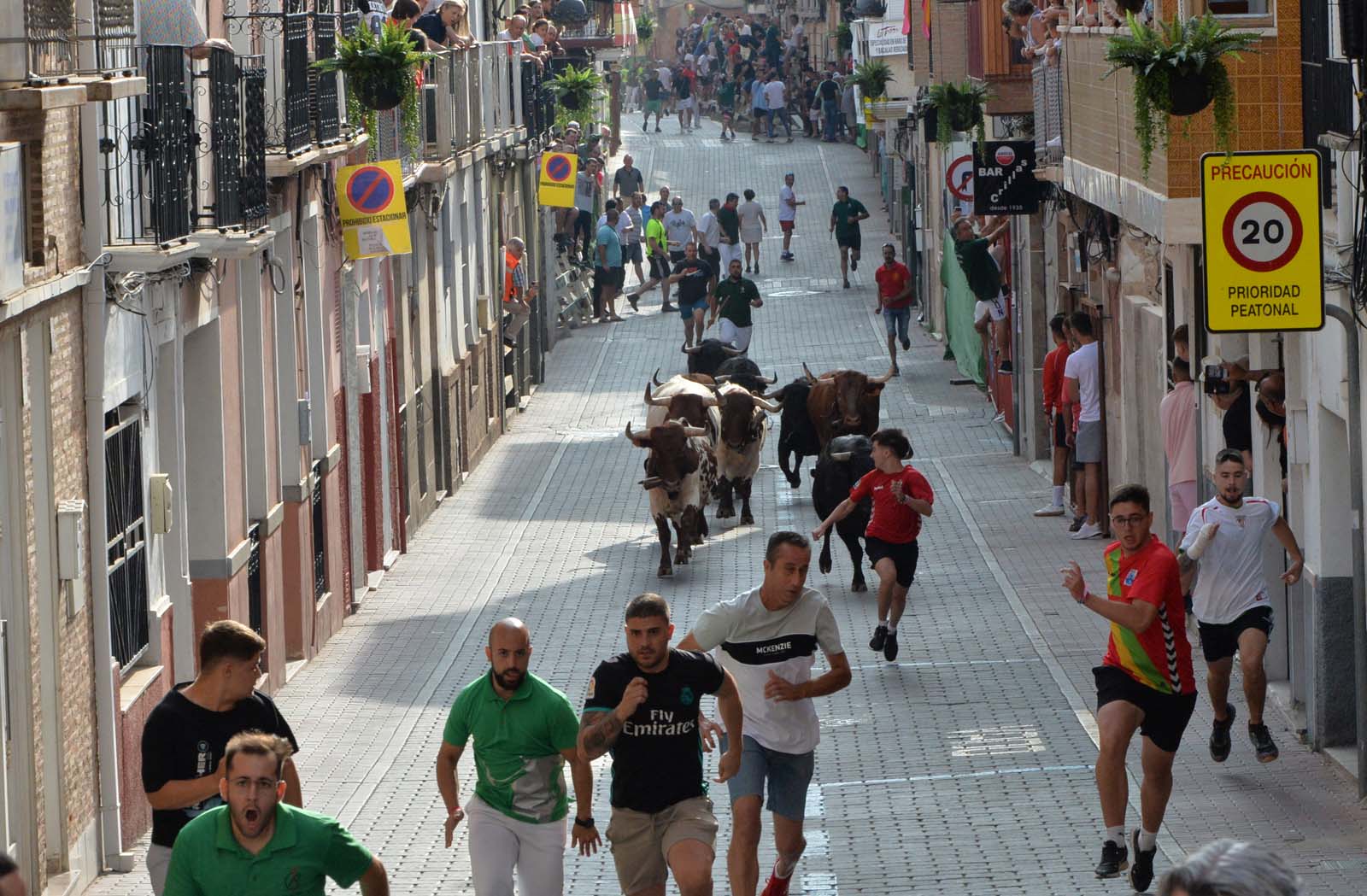 Encierro de hoy viernes en Calasparra