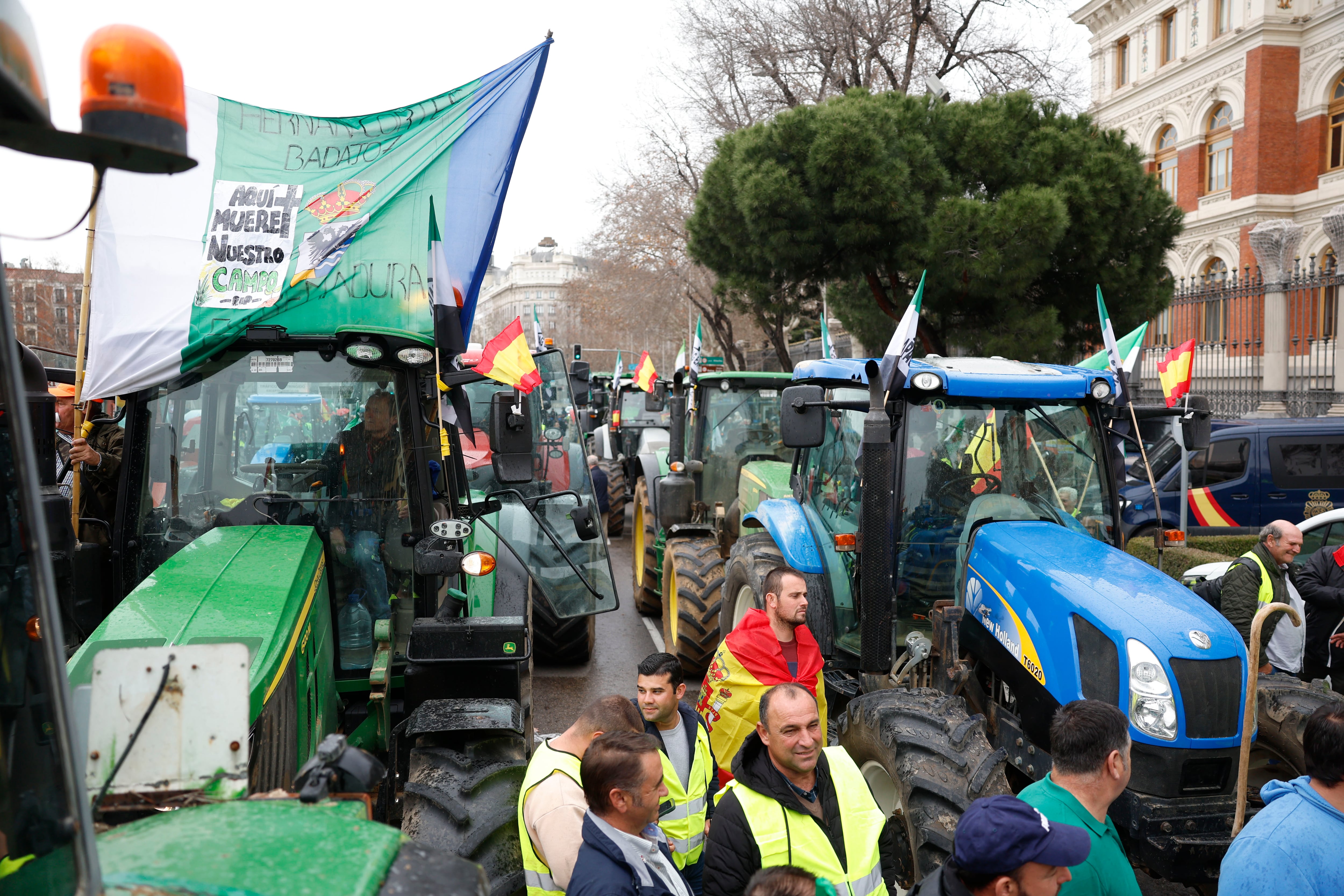 A juicio de la asociación, es destacable la fuerza desplegada por el colectivo. EFE/ Mariscal