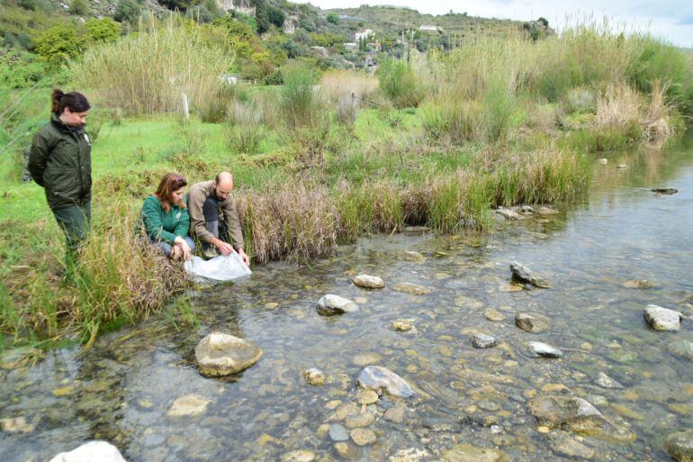 La delegada de Medio ambiente, Inmaculada Oria, asiste a la suelta de alevines de angulas en el Río Guadalfeo