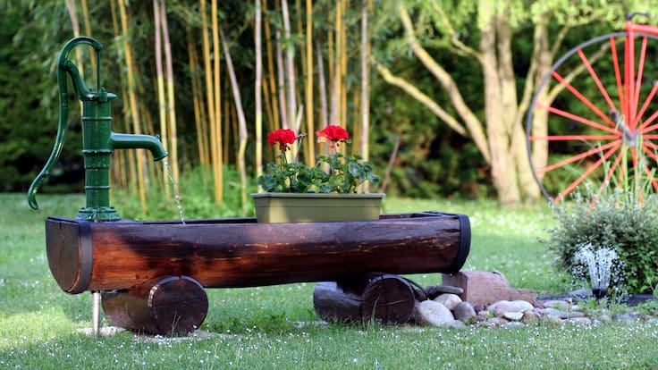 Espacio de Botánica sobre los jardines vintage