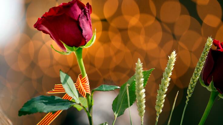 Un fisioteraupeta explica cómo trabajar la muñeca para firmar libros en Sant Jordi