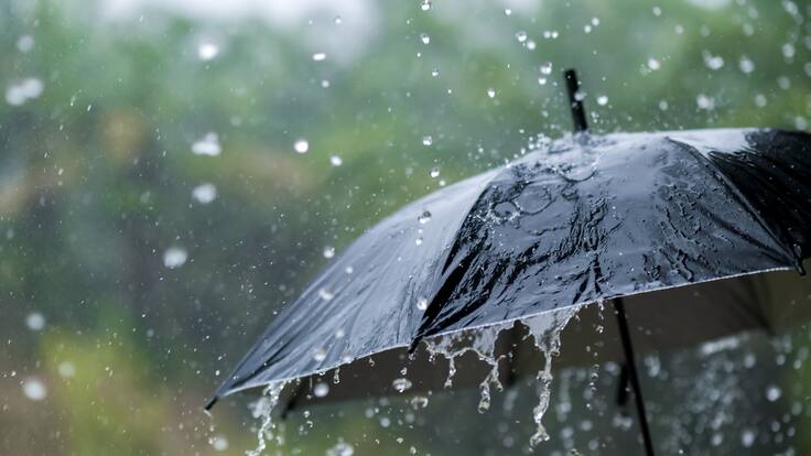 Letras Escogidas: la lluvia