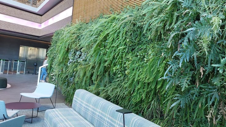 Jardines verticales: pasado, presente y futuro de una revolución verde