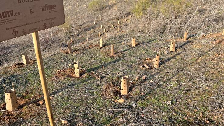 Hablamos con Roberto Sotomayor, concejal de Medio Ambiente de Paracuellos de Jarama, sobre la jornada de reforestación con Bosquia