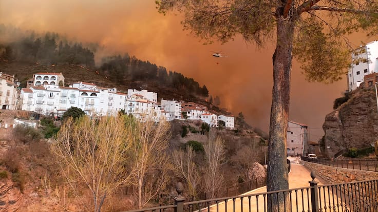 Entrevista a Jaime Baeza, profesor del departamento de Ecología de la UA, en Hoy por Hoy Alicante (28-03-23)
