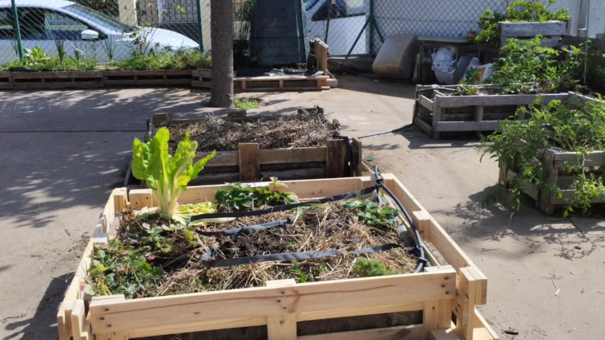 Consejos para hacer bancales en nuestras huertas en la sección A Horta de Lorena Franco