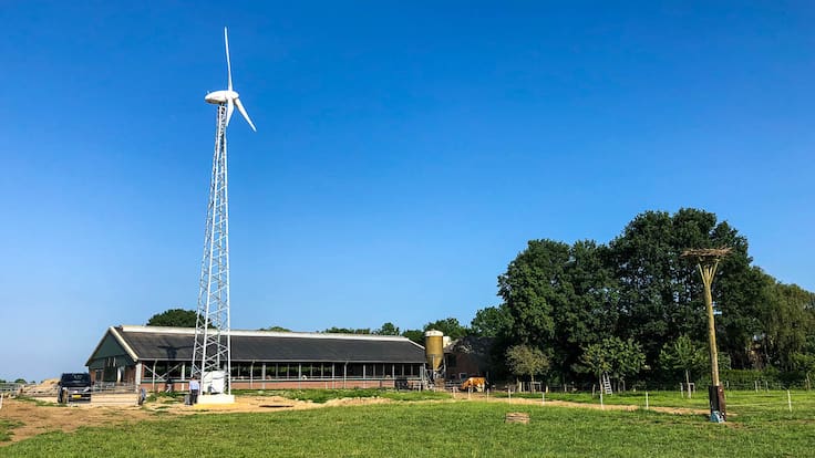 Hablamos del autoconsumo eólico