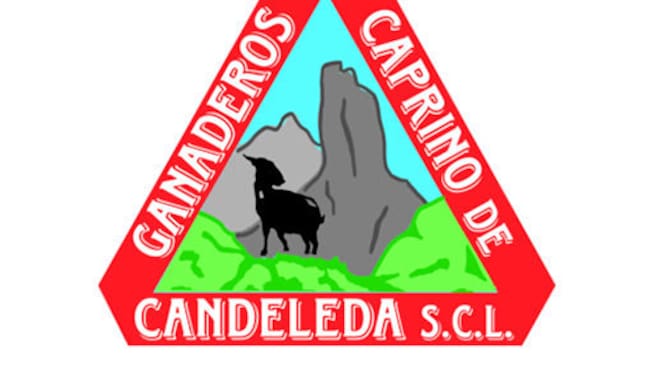 Sabor a Ávila: quesos Caprino de Candeleda