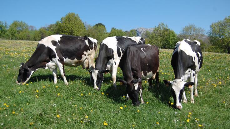 La cadena de valor: desde el agricultor hasta el lineal