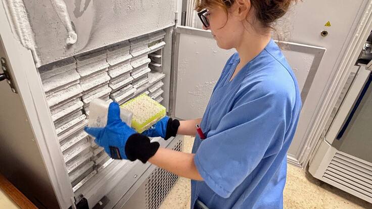 Ana Martínez, coordinadora del Biobanco de ISABIAL: "Hemos triplicado el número de muestras en los últimos cinco años"