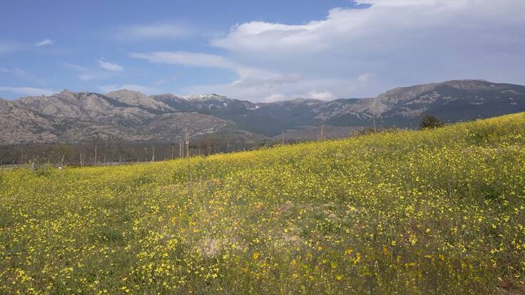 Hablamos con Nacho García, concejal de Medio Ambiente de Soto del Real, sobre el proyecto de transformación de La Cabezuela
