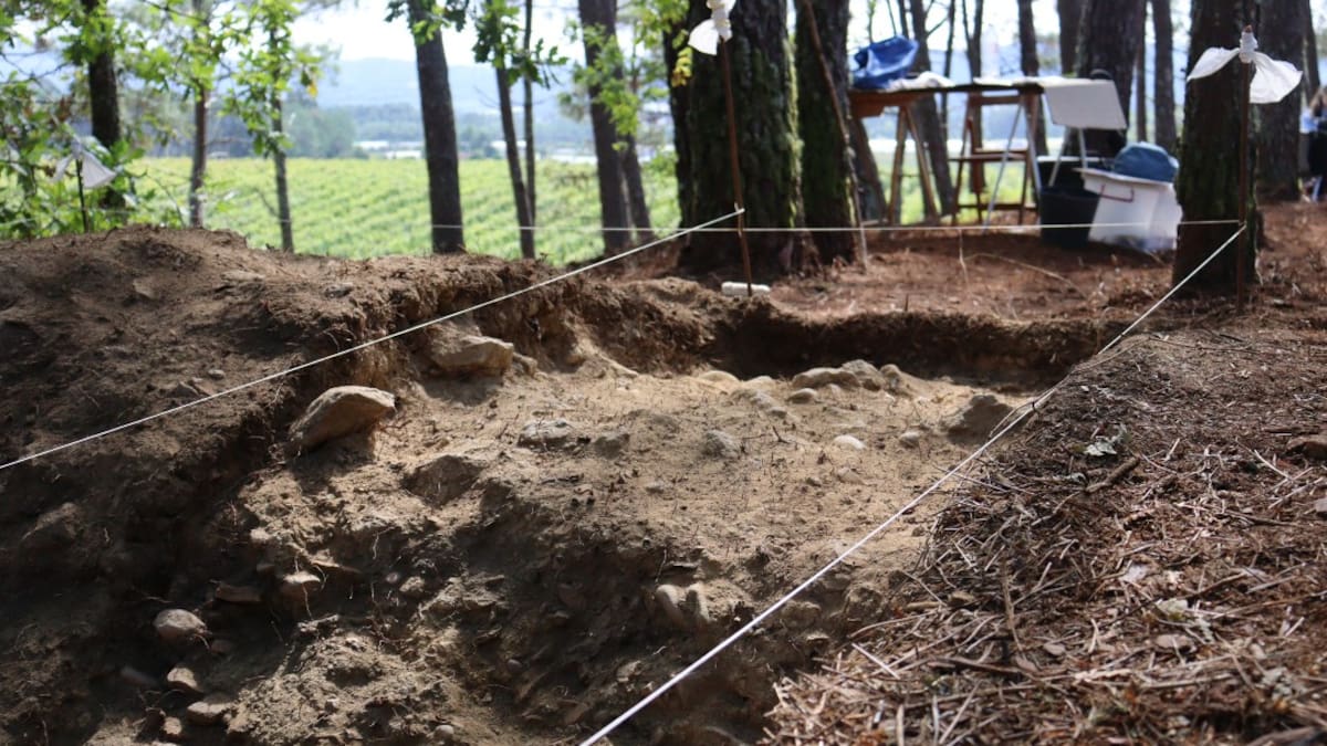 Entrevista a Rebeca Blanco-Rotea, investigadora da Universidade do Minho, sobre los hallazgos en el yacimiento de As Torres