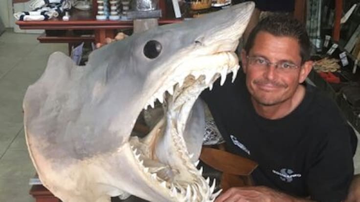 "Los tiburones no son máquinas de matar" Paco Pinto de la Rosa, especialista en tiburones