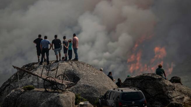 El patrón de los detenidos por incendiar España
