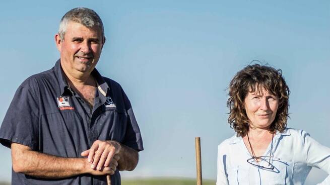 Sabor a Ávila: Pavos Bio