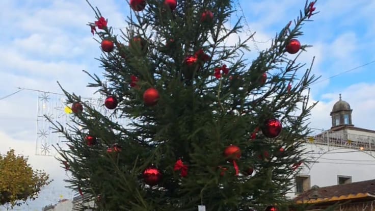 Entrevista a Miguel Veiga, impulsor junto a SOS Tomiño del Árbore dos Desexos en Tui