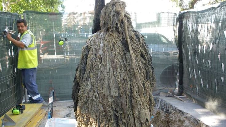 "El inodoro no es una papelera" P Gómez, concejala Sostenibilidad