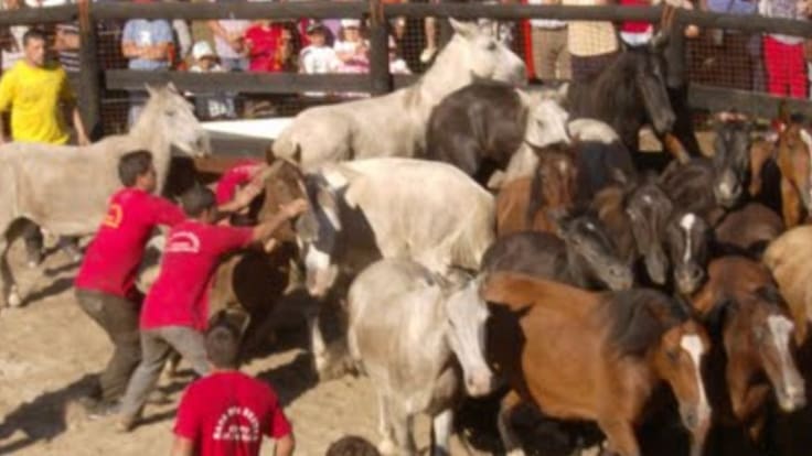 Todo lo que usted siempre quiso saber sobre la historia de Vigo y nunca se atrevió a preguntar