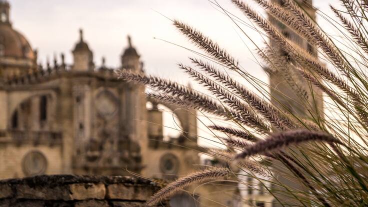 Viajes de verano: Jérez, una ciudad llena de tradición andaluza