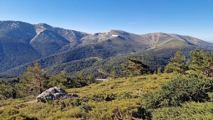 Un viaje de la estepa mediterránea a la tundra sin salir de Madrid