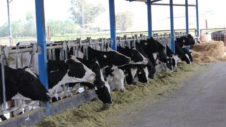 Asaja Málaga: "Hay pánico entre los ganaderos de la provincia"