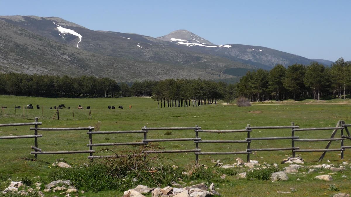 Los Altos de la Morcuera: un recorrido MTB entre arroyos, sierras y valles