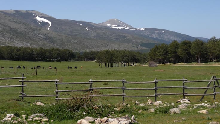 Los Altos de la Morcuera: un recorrido MTB entre arroyos, sierras y valles